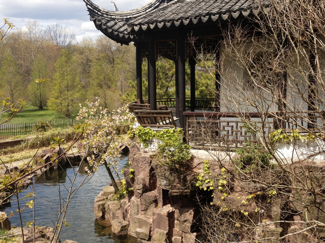 New York Chinese Scholar's Garden景点图片