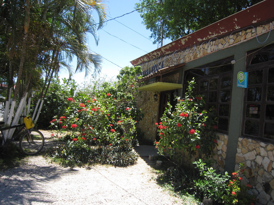 Hotel Cabinas Amelia主图