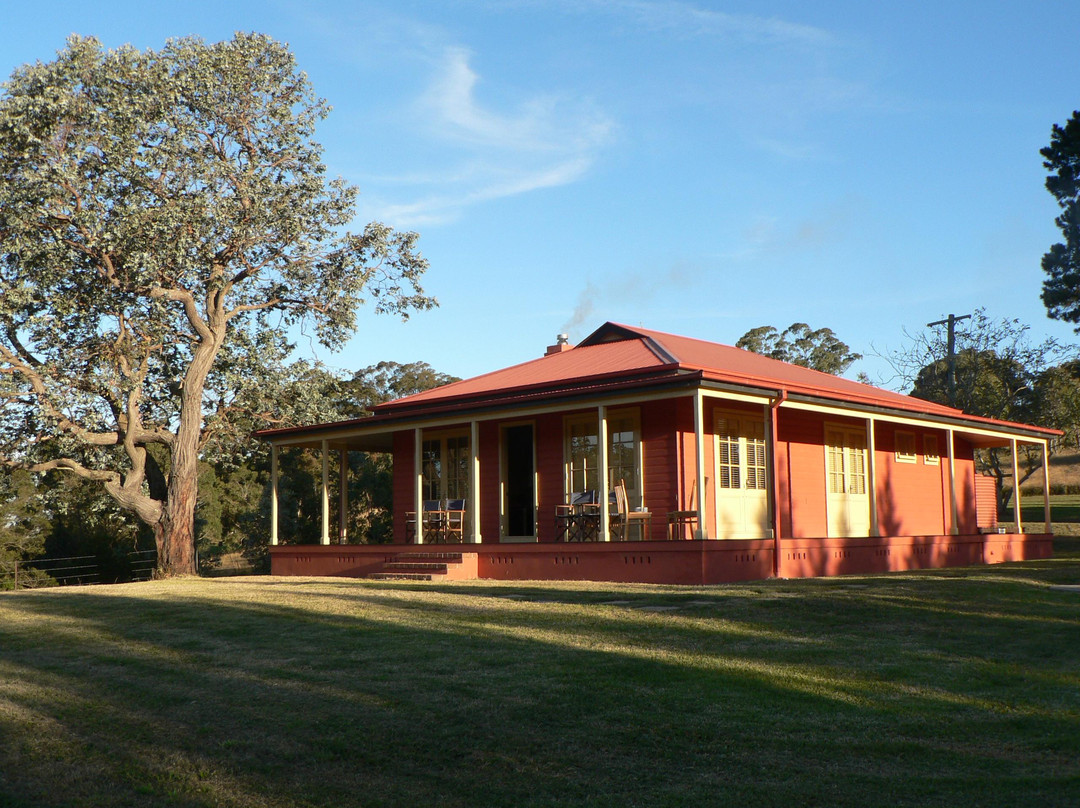 The Pines Pastoral