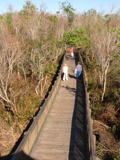 Sawgrass Lake Park-圣彼德斯堡必去景点