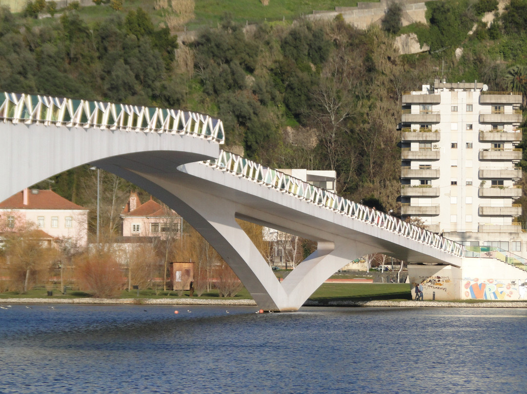 Ponte Pedro e Inês景点图片