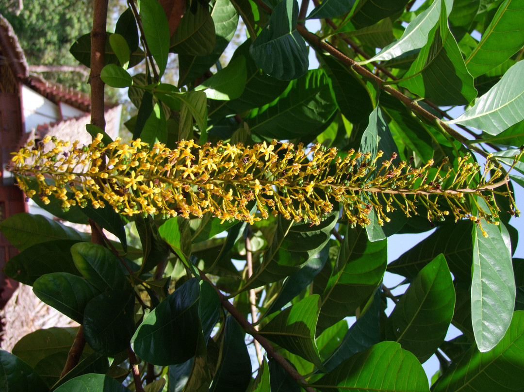 Thousand Flower Garden (Taman Seribu Bunga)-爱极乐必去景点