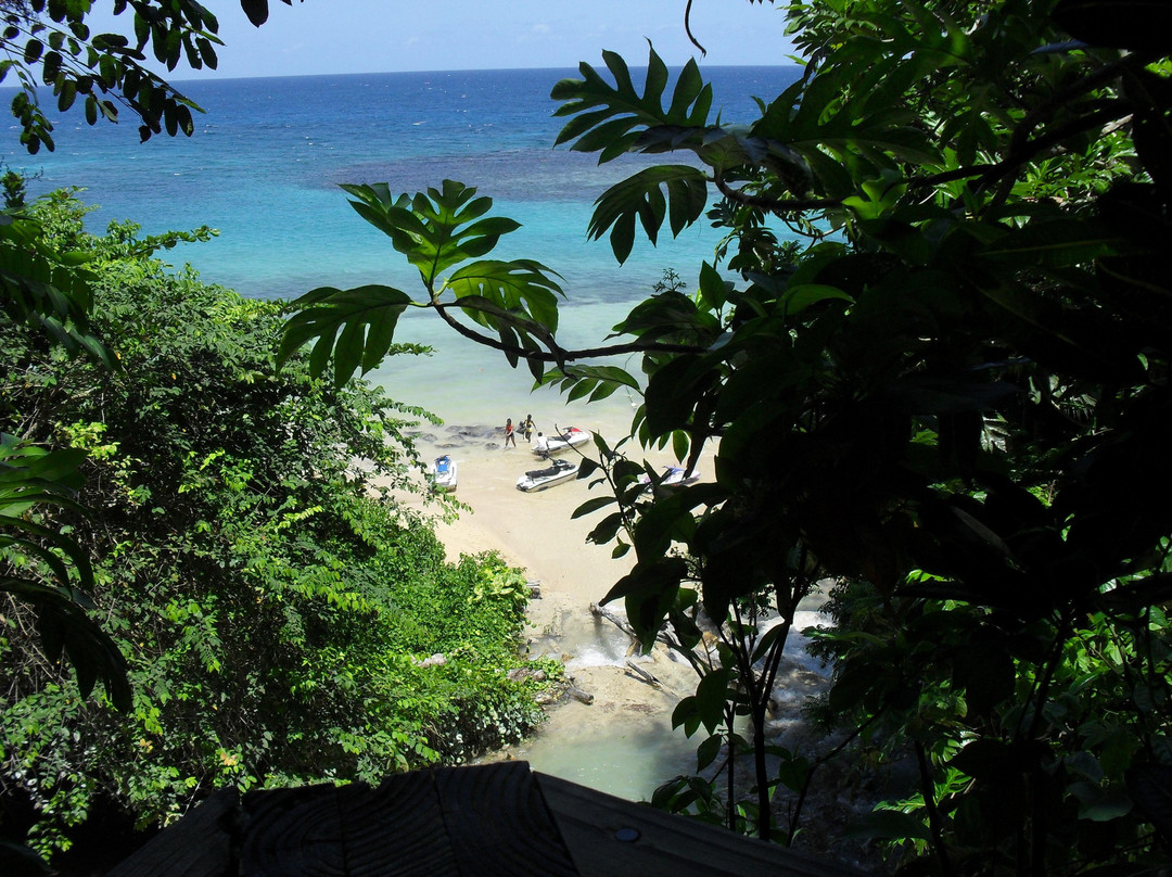 Dunn's River Falls and Park景点图片
