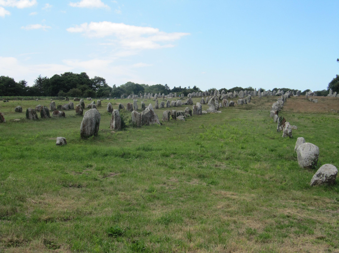 Megaliths of Carnac景点图片