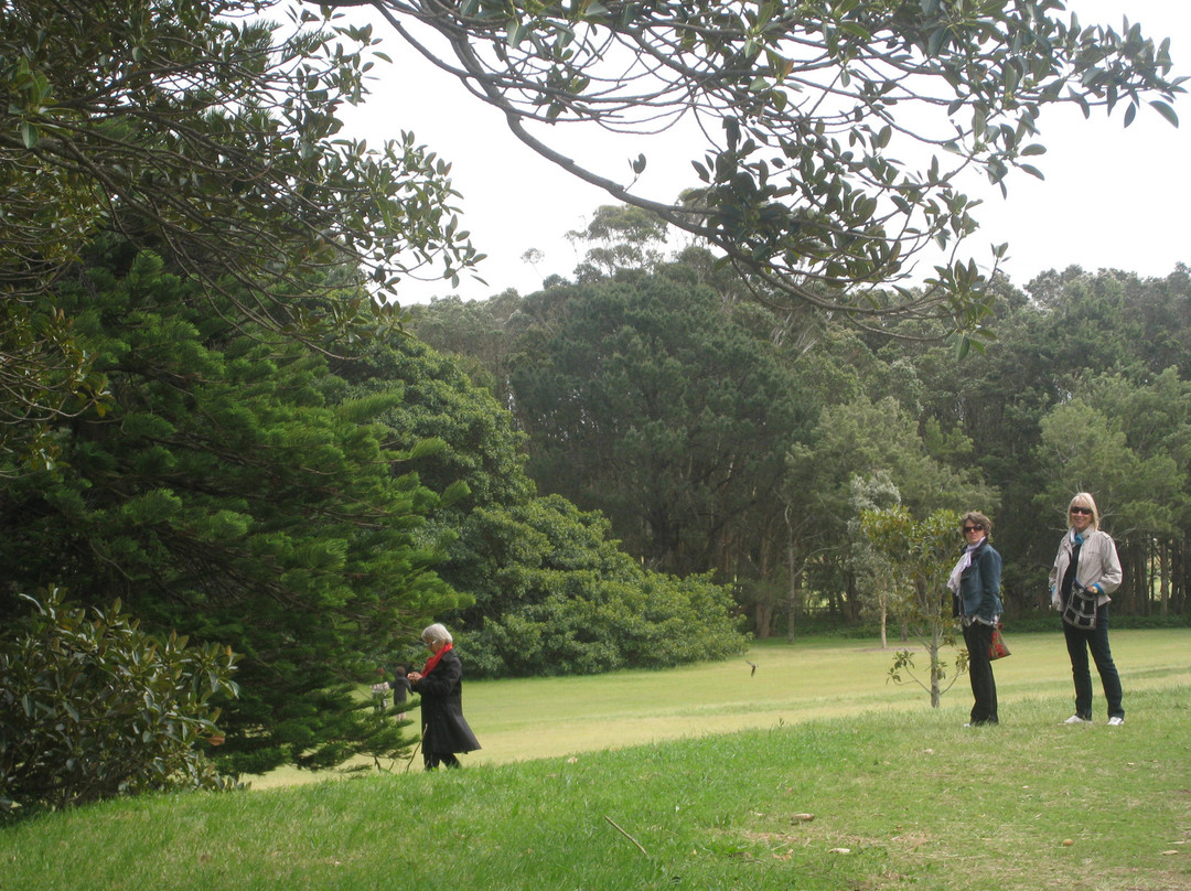 悉尼世纪公园-悉尼必去景点