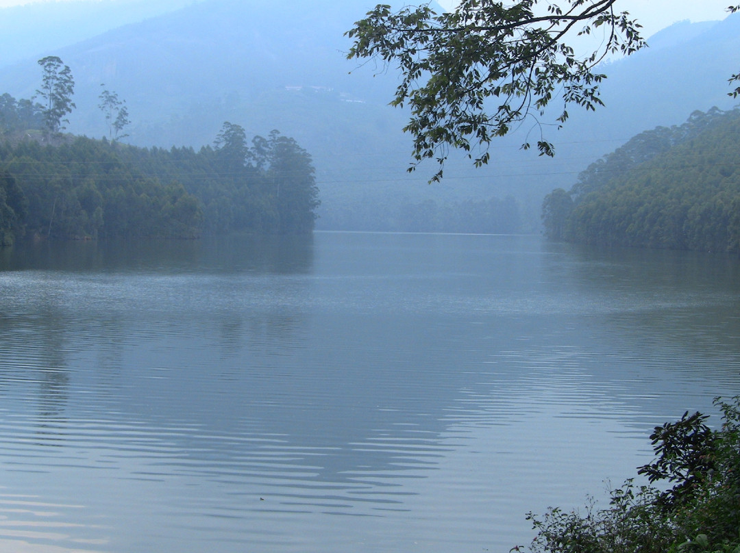 Mattupetty Dam景点图片