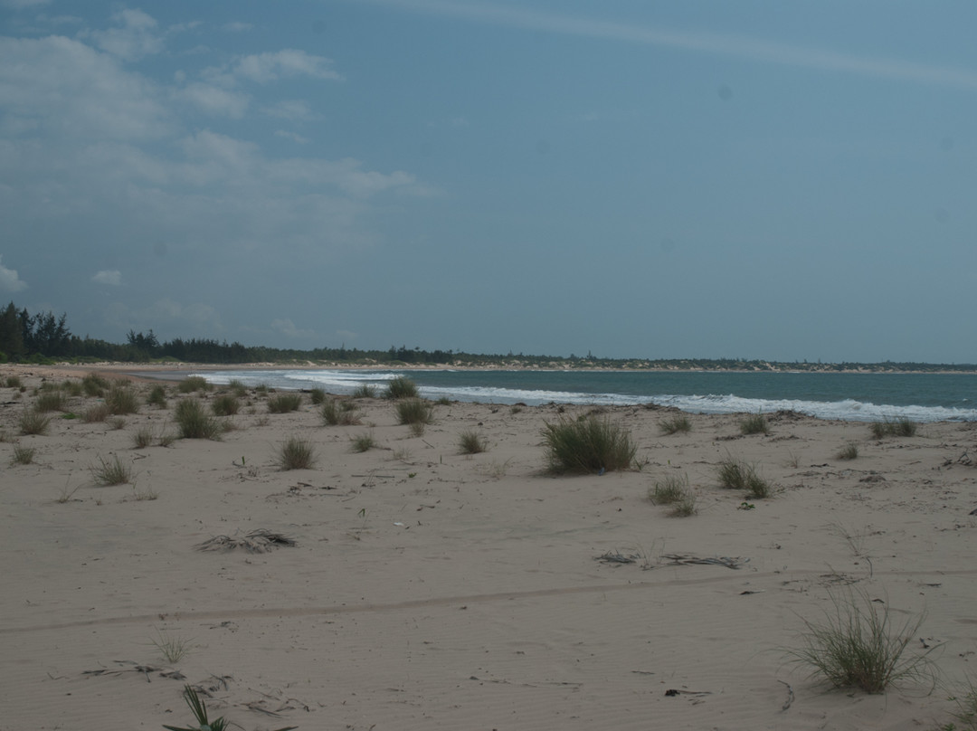 Che Shale Beach-Mambrui必去景点