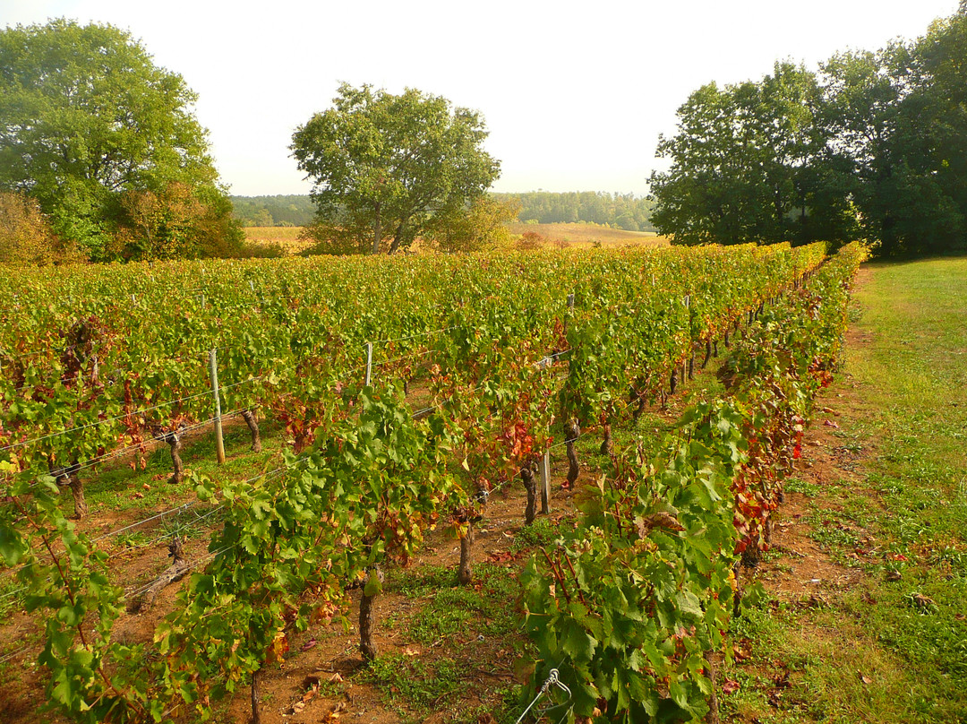 Chateau Galot la Chapelle Saint EMILION主图
