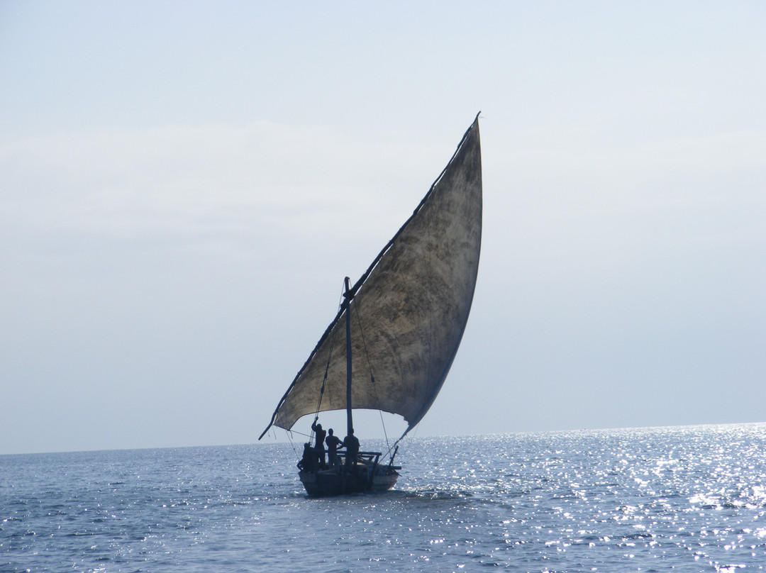 Kinazini Funzi Dhow Day Safari景点图片