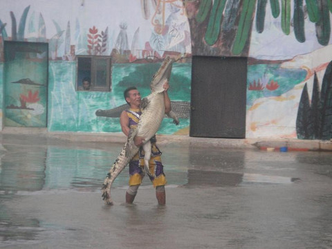 长隆飞鸟乐园-广州市必去景点