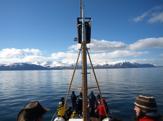 北方航行——胡萨维克观鲸-胡萨维克必去景点