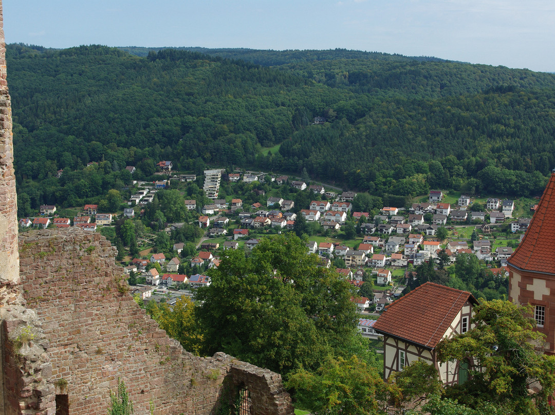 Dilsberg Castle Fortress景点图片