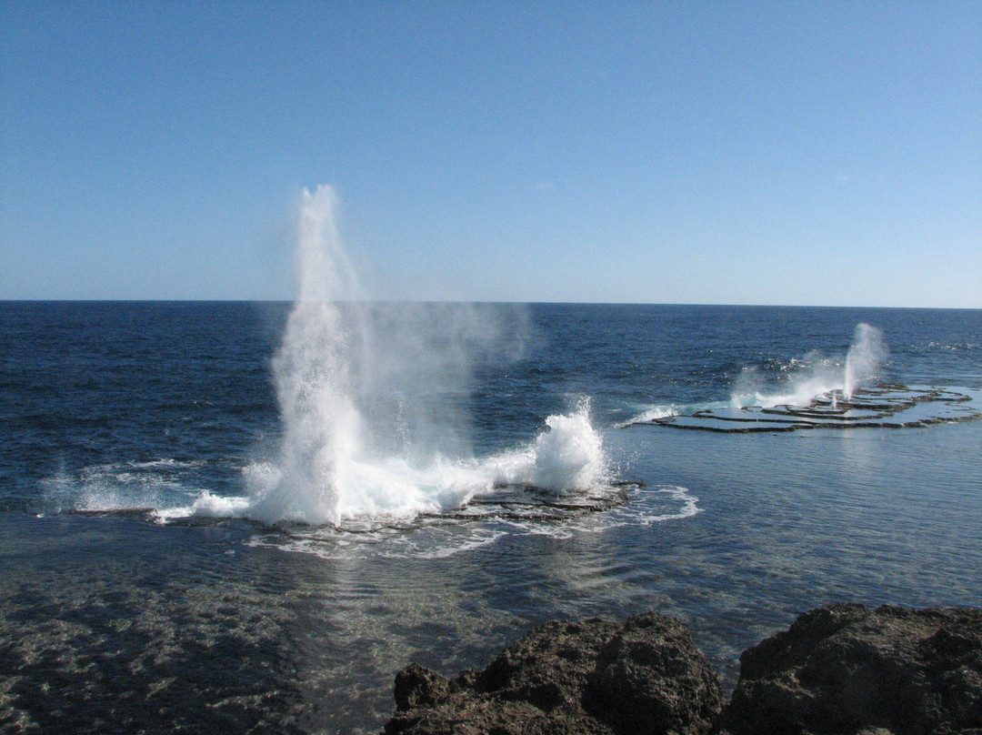Mapu'a 'a Vaea Blowholes-Tongatapu Island必去景点