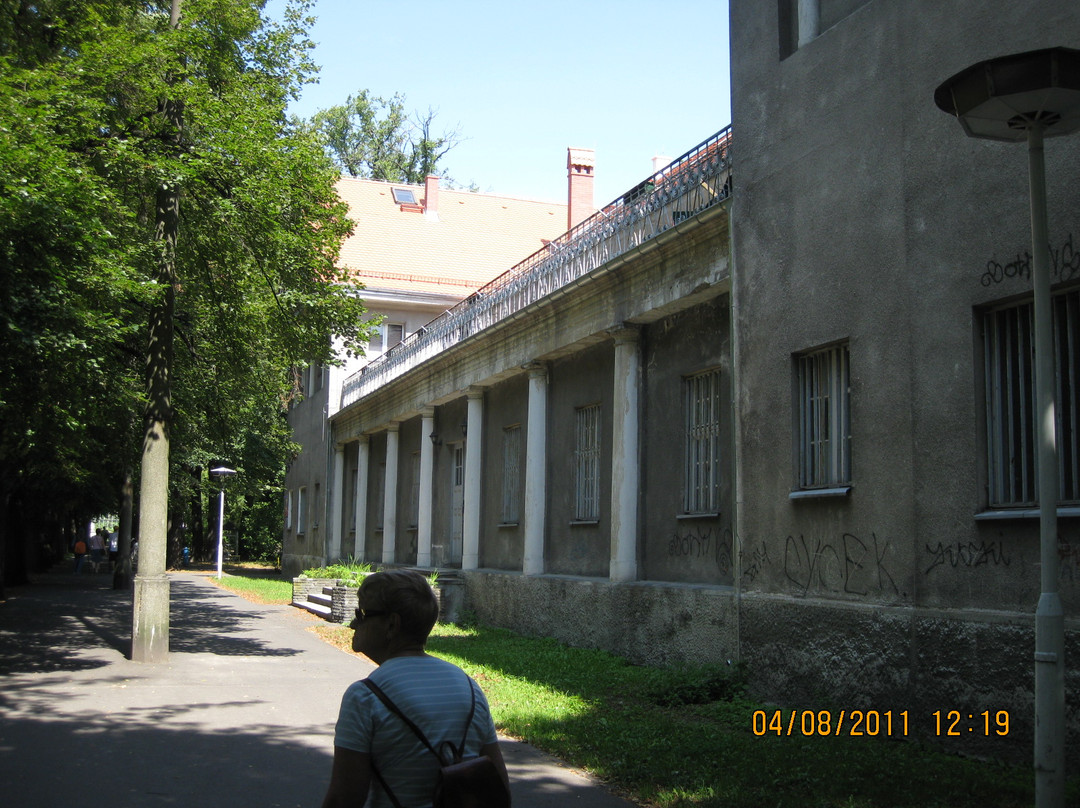 Palmiarnia Poznanska (Palmenhaus Poznan)-波兹南必去景点