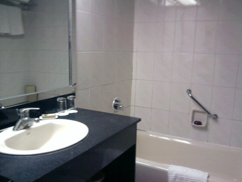 丽天大酒店主图