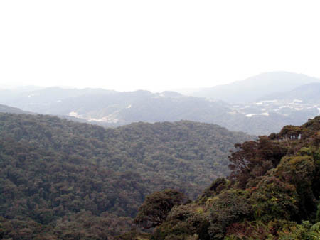 Gunung Brinchang-金马仑高原必去景点