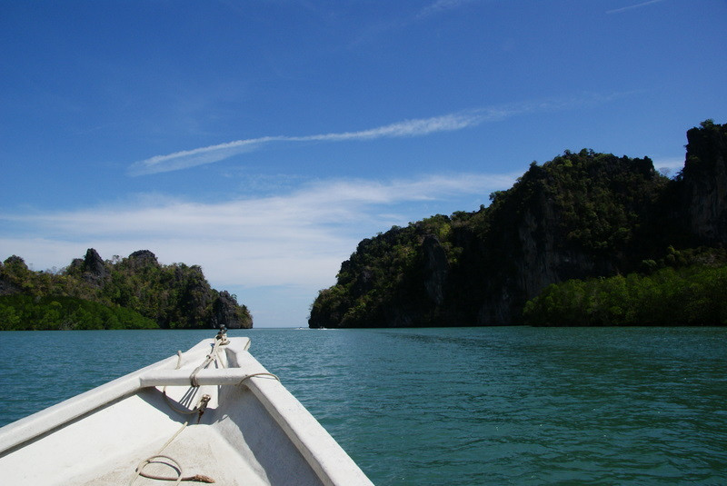 Natasha's Mangrove Nature Tour-兰卡威必去景点