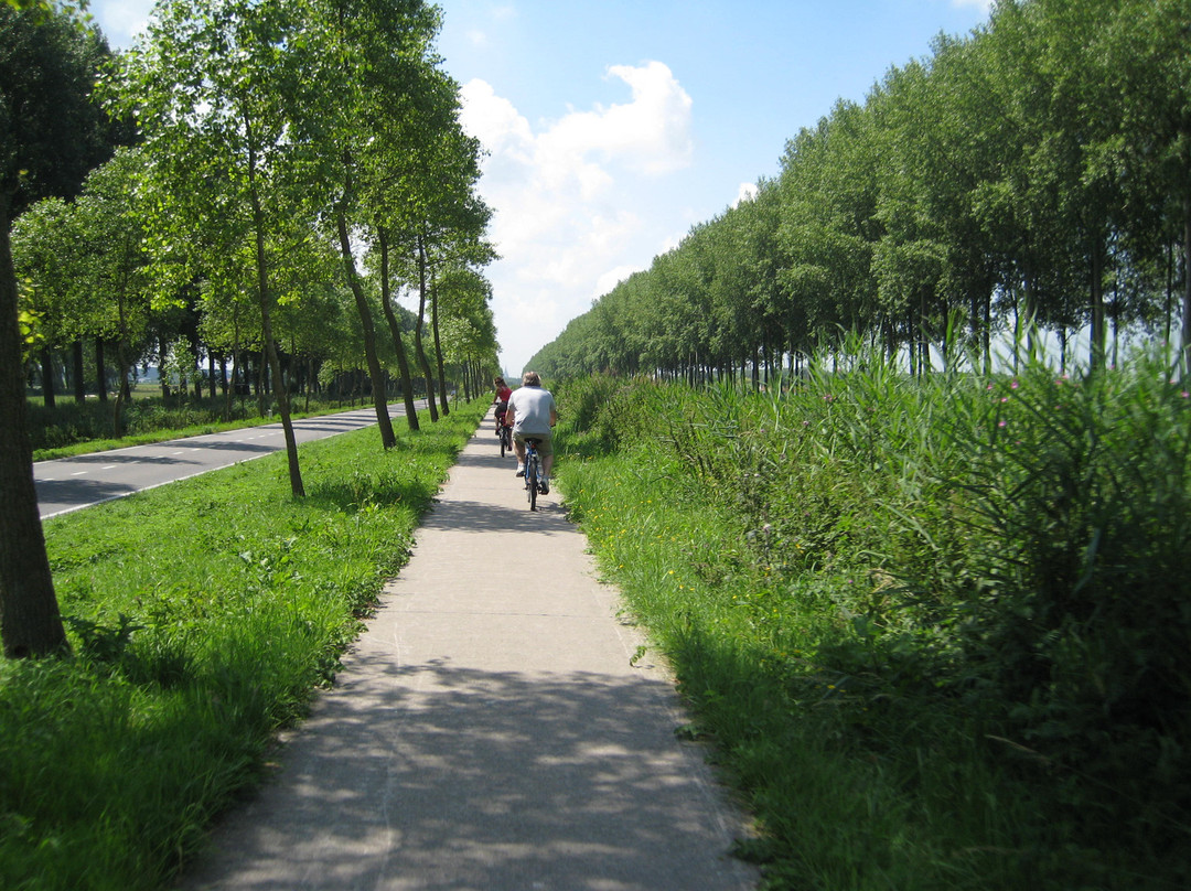 The Pink Bear Bicycle Company景点图片