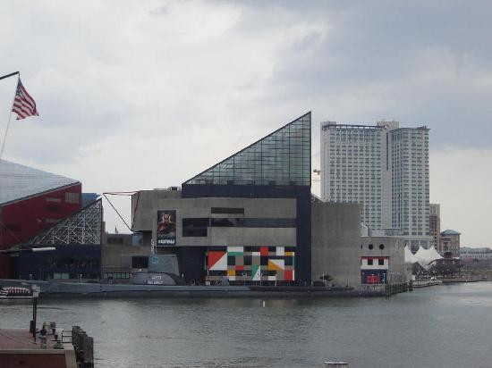 巴尔的摩国家水族馆-巴尔的摩必去景点