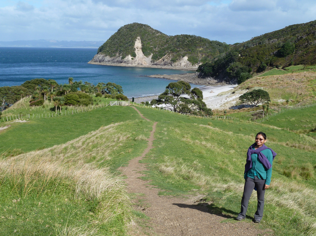 Bream Head Coast Walks景点图片