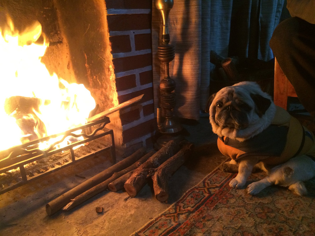 Darang Tea Estate主图