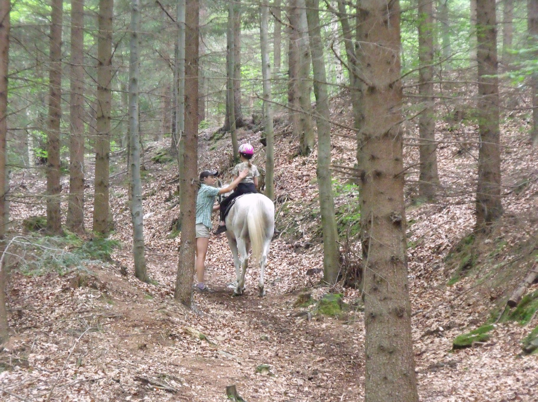 Agroturystyka Studzienno