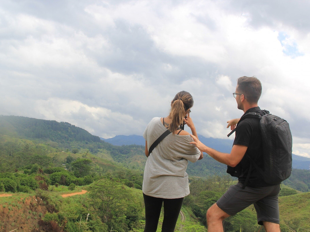 Madagascar Natural Tours