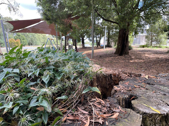 Kinglake West Mechanics Institute Reserve Playground
