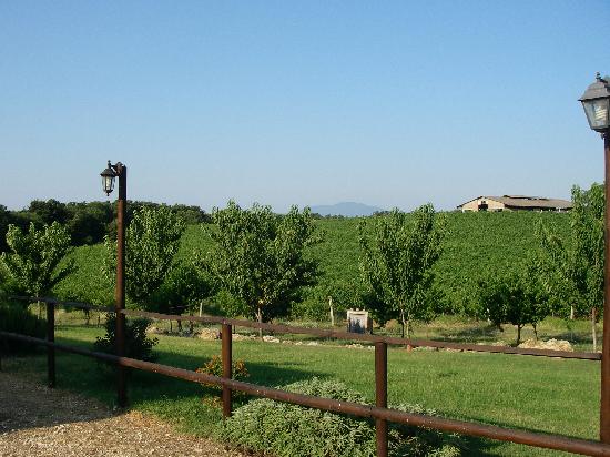 Agriturismo Pian della Selva-酒店景观