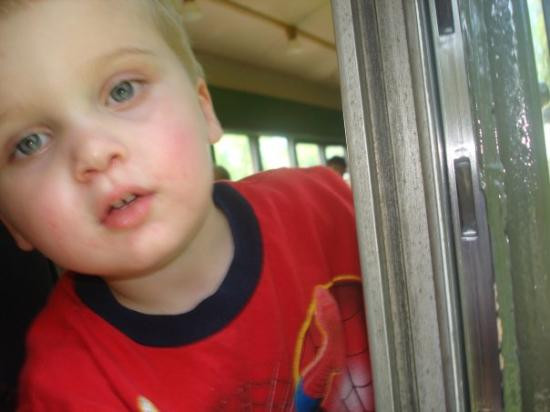 Auburn旅游攻略图片