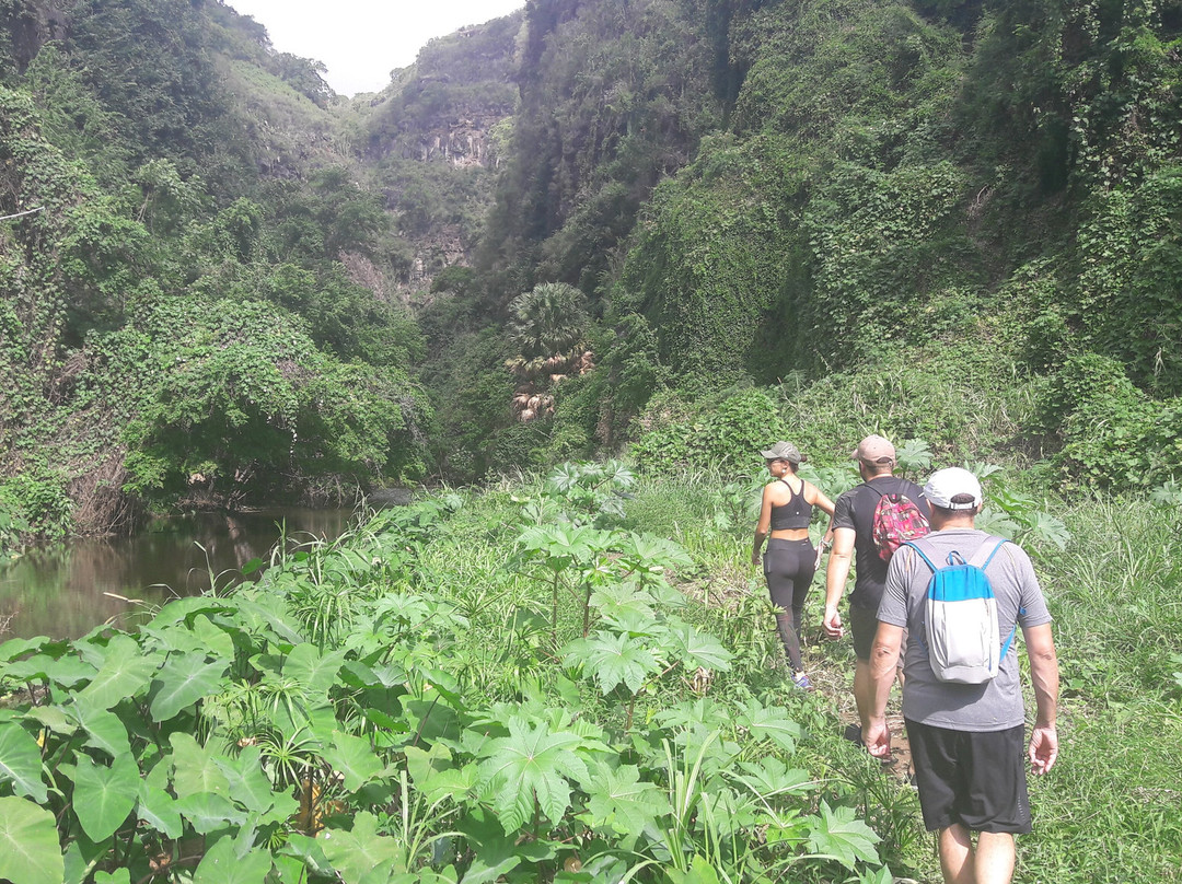 Ravine Bernica景点图片