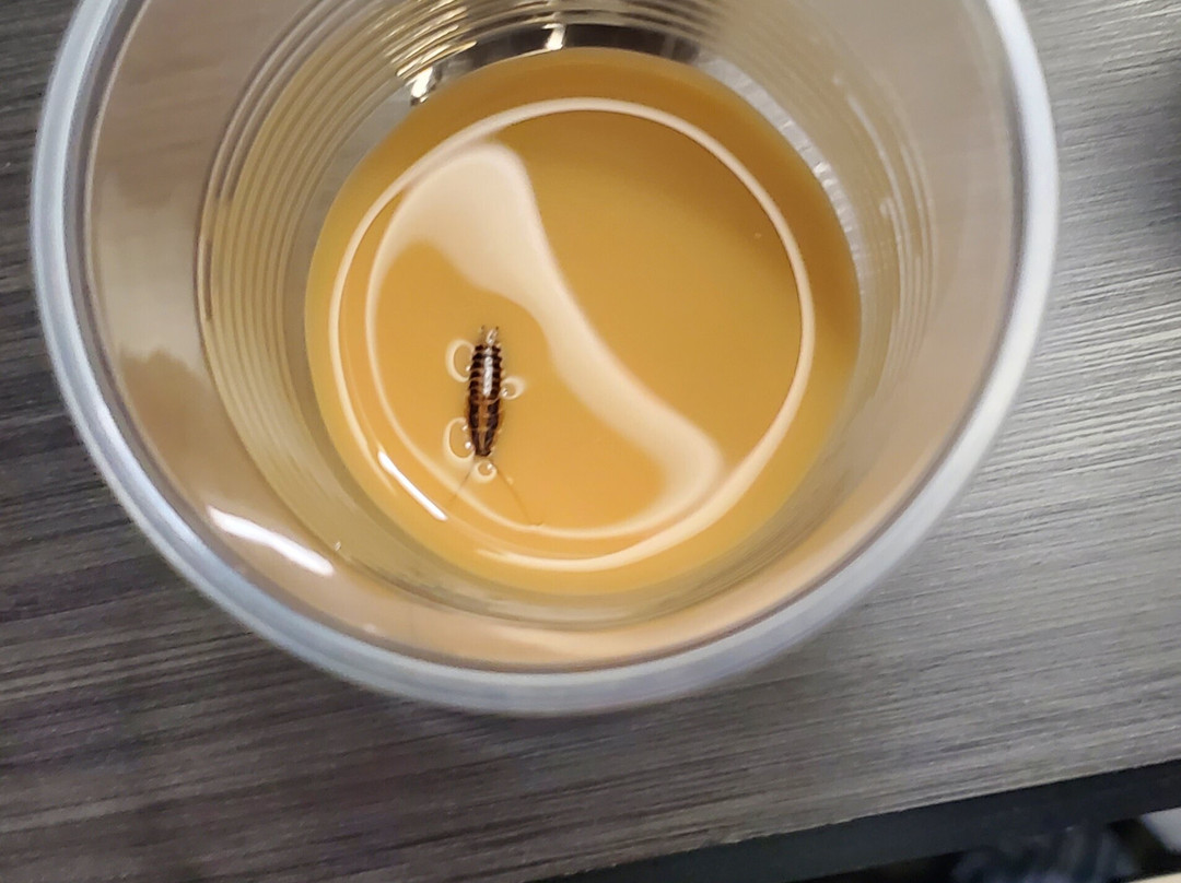 阿卡迪亚快捷假日&套房酒店主图