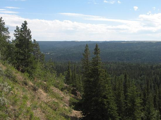 赛普拉斯山省际公园-Maple Creek必去景点