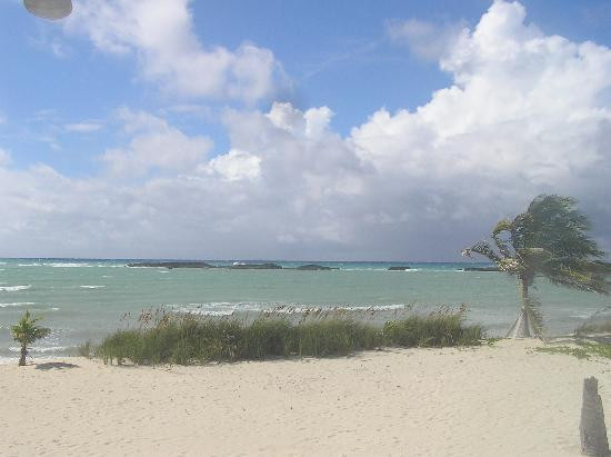 Paradise Cove-弗里波特必去景点