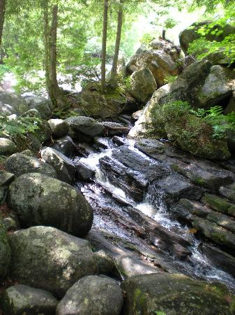 Natural Stone Bridge and Caves景点图片
