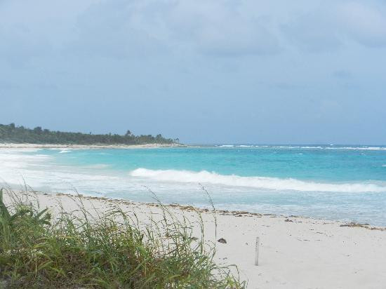 Paseo Tours-普拉亚德尔卡曼必去景点