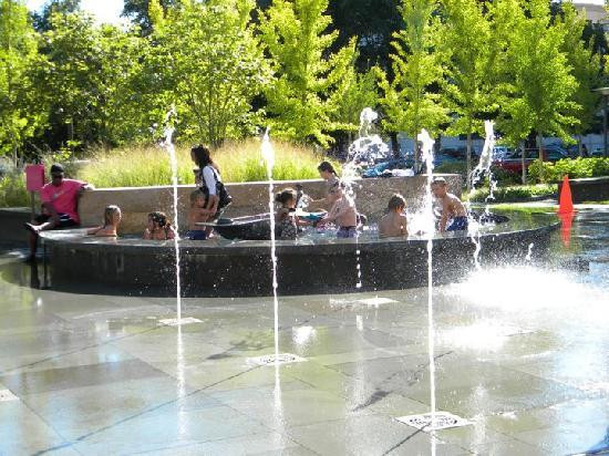 City Garden-圣路易斯必去景点