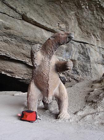 Cueva del Milodon-纳塔莱斯港必去景点