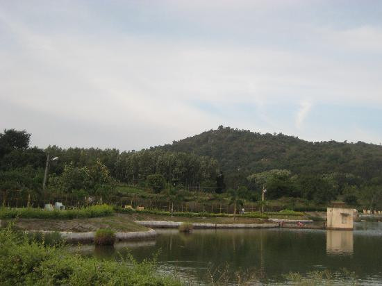 Yelagiri Hills景点图片