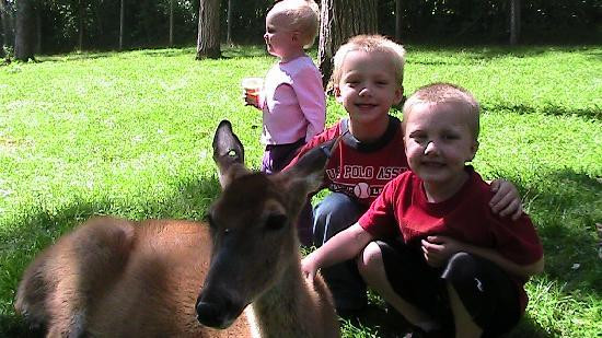 Paul Bunyan's Animal Land-伯米吉必去景点