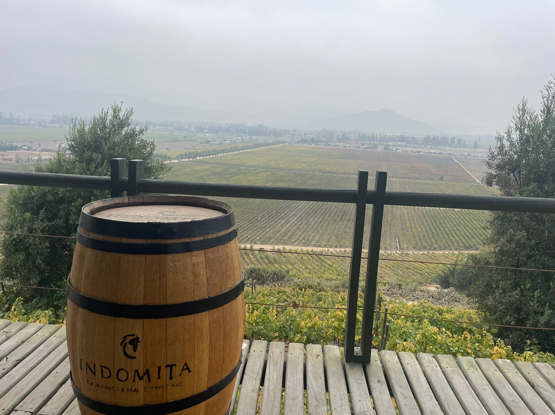 Indomita Casablanca and Maipo Vineyards-卡萨布兰卡必去景点