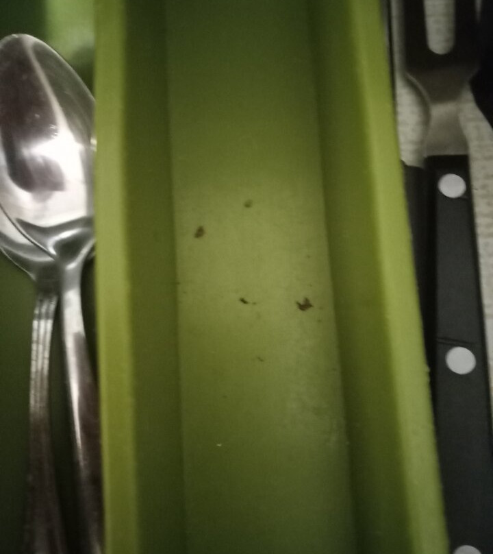 Sea Ranch Motel主图