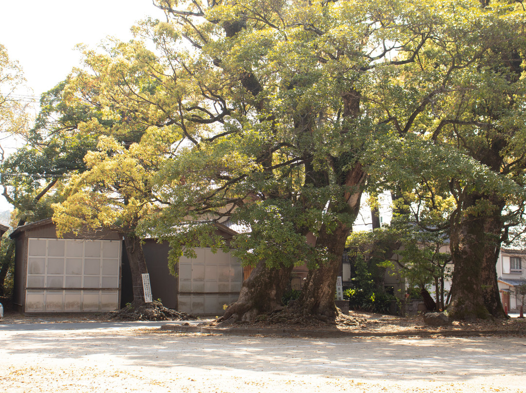 Hiwasa Hachiman Shrine景点图片
