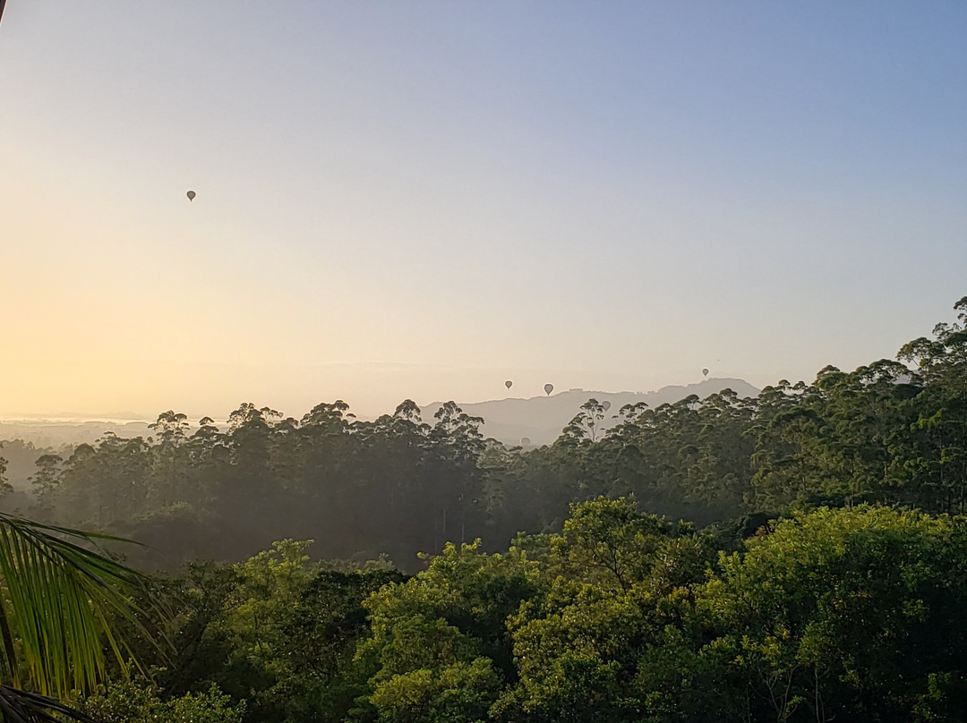 Roteiro Rural Vale das Pitayas景点图片