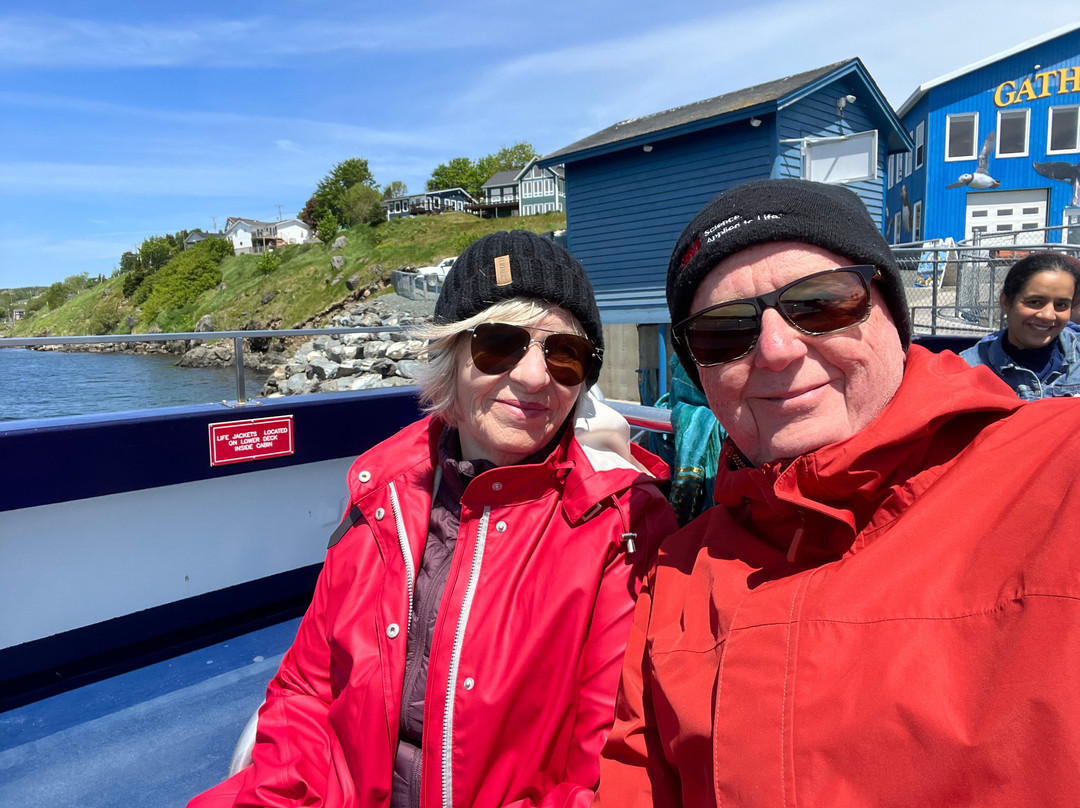 Gatherall's Puffin and Whale Watch-Bay Bulls必去景点