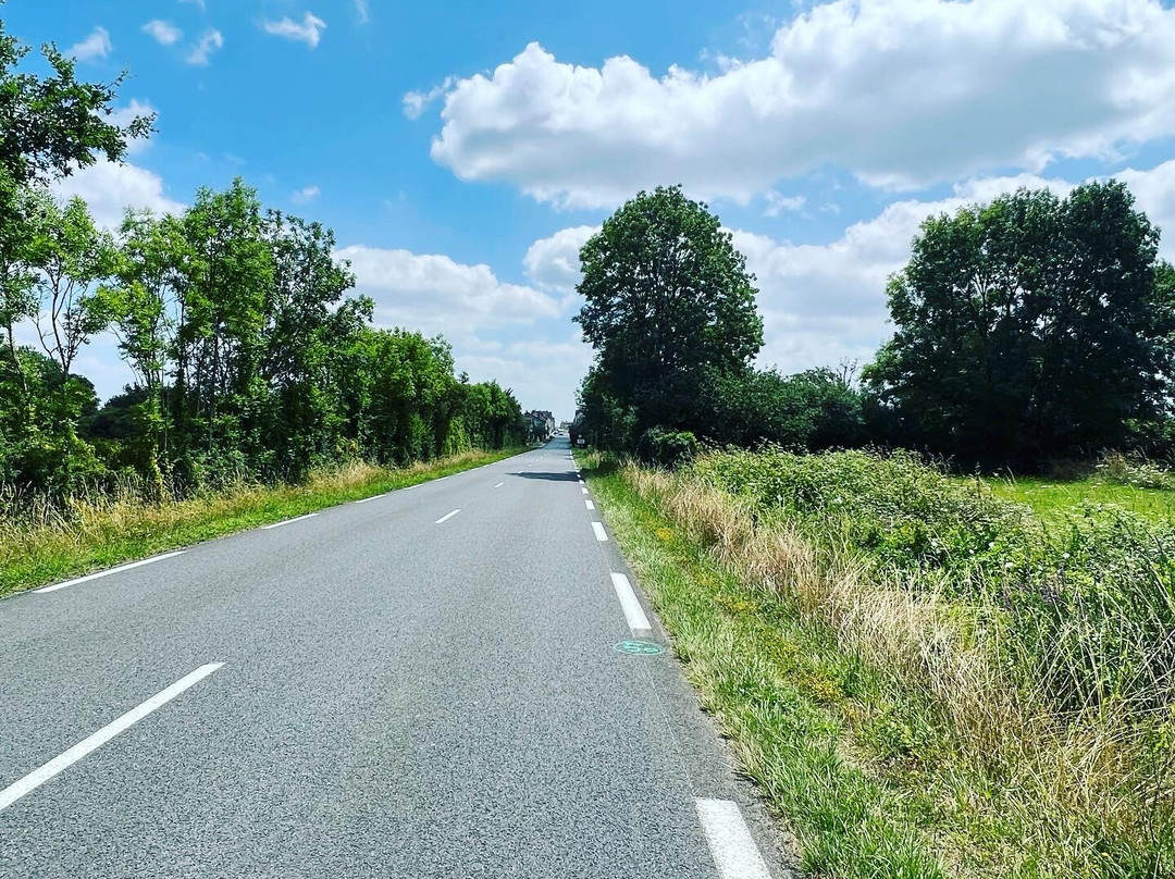 Route 66 hotel主图