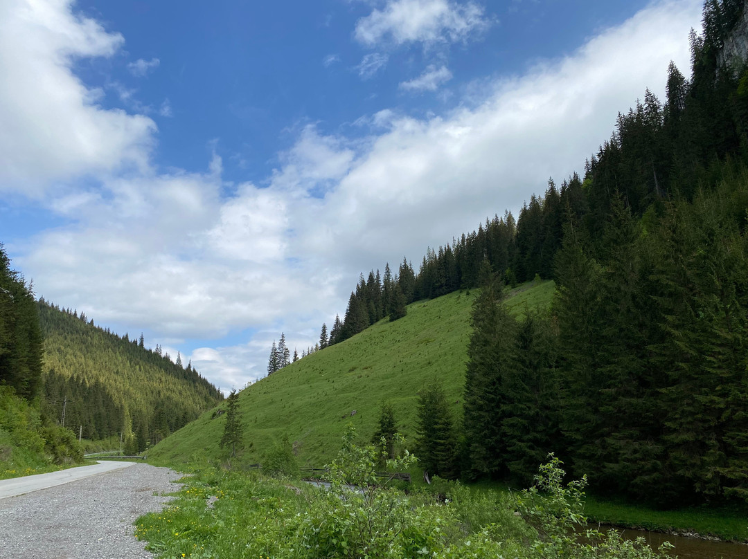 Tibaului Rock ("Piatra Tibaului")-Carlibaba必去景点