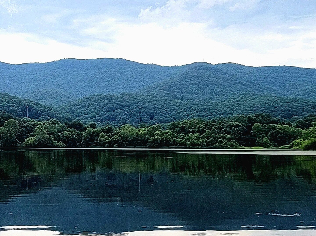 Cove Lake State Park景点图片