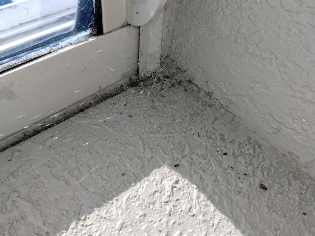 Clarion Inn Des Moines Airport主图