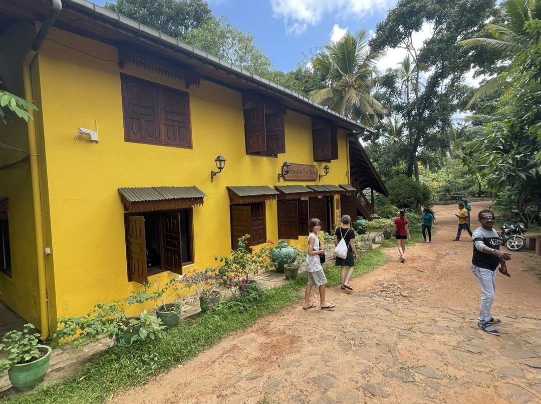 Suresh Travel Sri Lanka-哈巴拉杜瓦必去景点